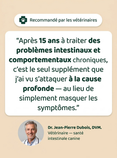 Novapaw — Gouttes Anti-Parasites Chien