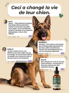 Novapaw — Gouttes Anti-Parasites Chien