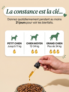Novapaw — Gouttes Anti-Parasites Chien
