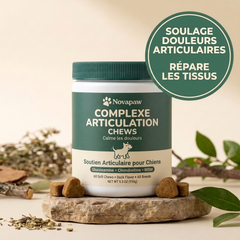 Novapaw — Complexe Articulations
