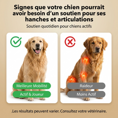 Novapaw — Complexe Articulations