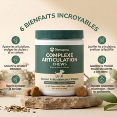 Novapaw — Complexe Articulations