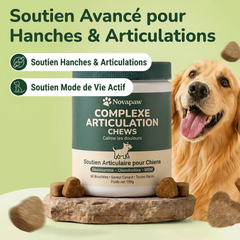 Novapaw — Complexe Articulations