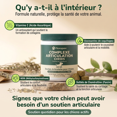 Novapaw — Complexe Articulations