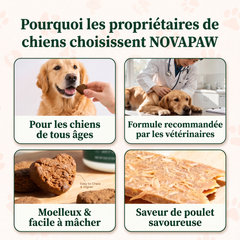 Novapaw — Complexe Articulations
