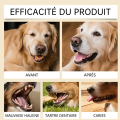Novapaw — Dents & Haleine