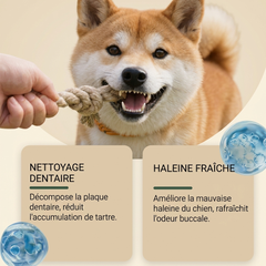 Novapaw — Dents & Haleine