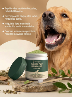 Novapaw — Dents & Haleine